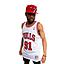 Camiseta authentics NBA bulls 97-98 dennis rodman mitchell and ness