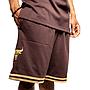 Short NBA lux brown bulls 1997 mitchell and ness